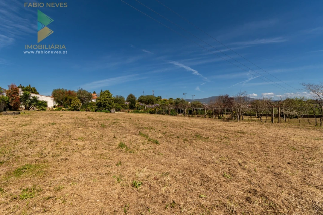 Quinta T6 para Venda em Correlhã Foto 77