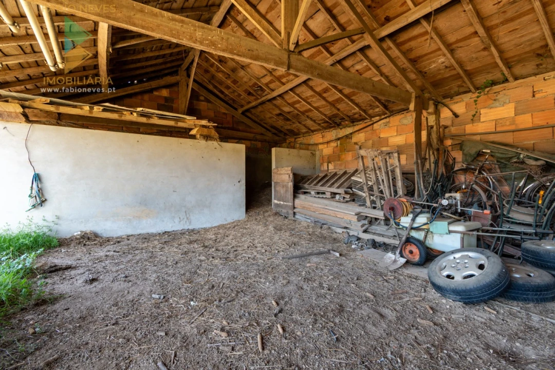 Quinta T6 para Venda em Correlhã Foto 79