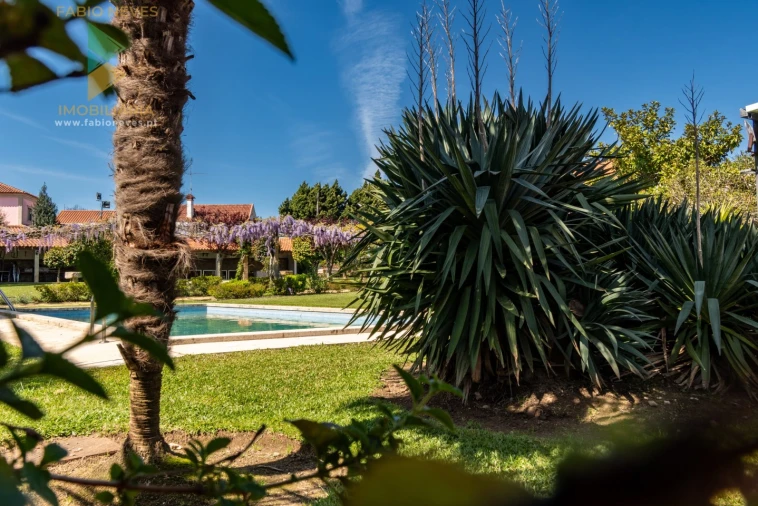 Quinta T6 para Venda em Correlhã Foto 9