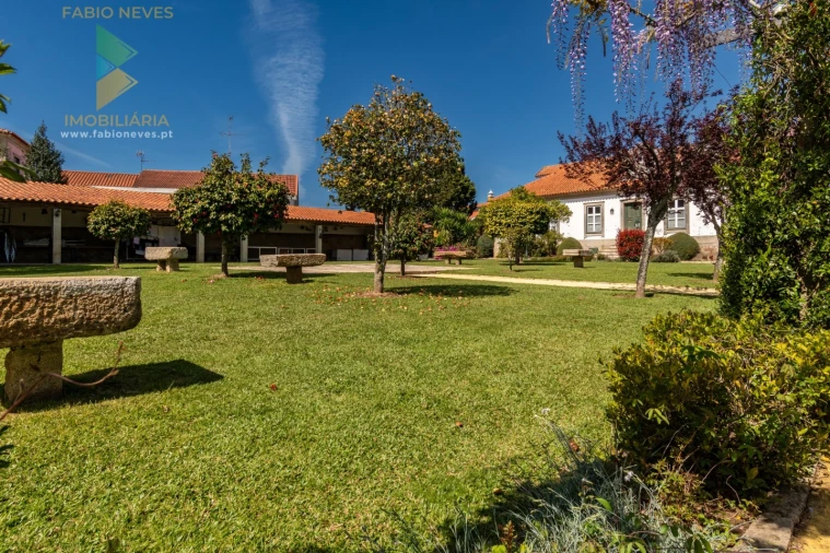 Quinta T6 para Venda em Correlhã Foto 13