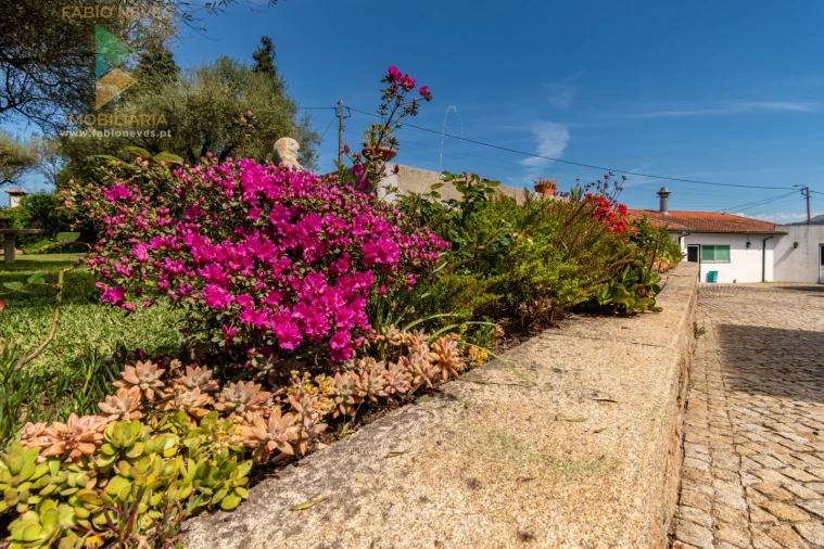 Quinta T6 para Venda em Correlhã Foto 33