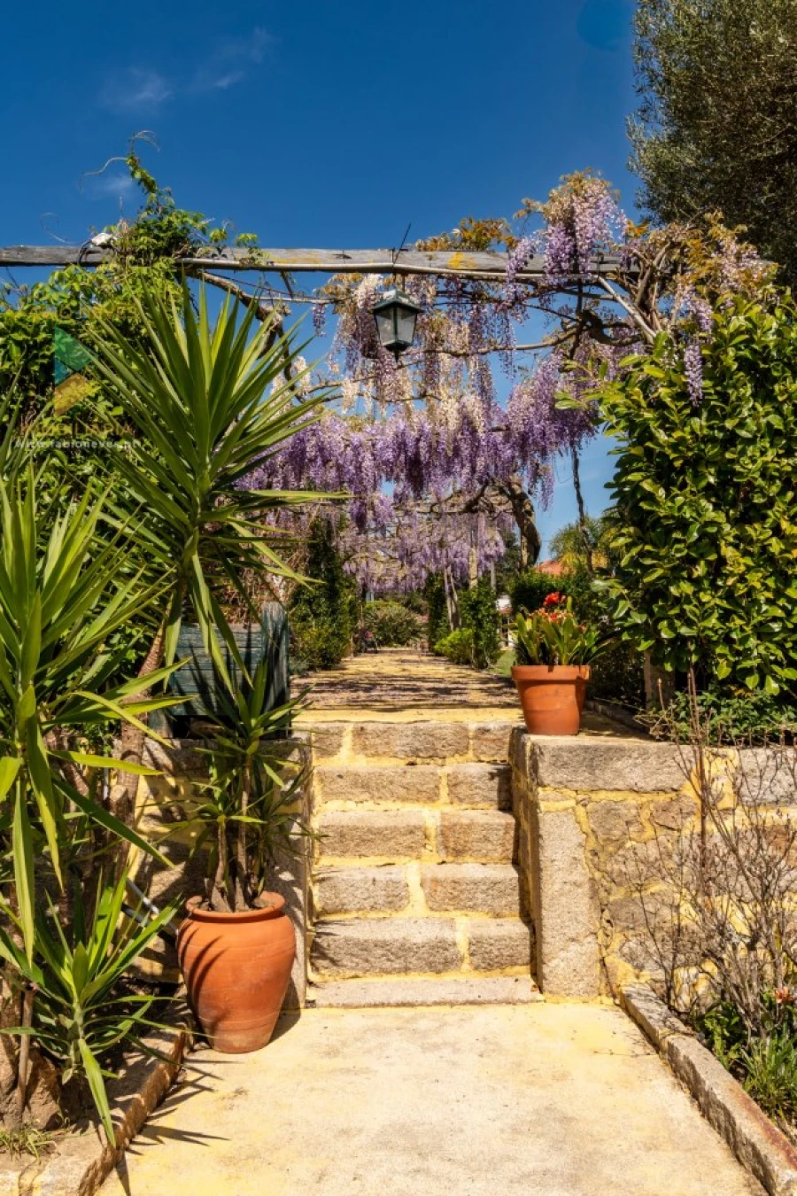 Quinta T6 para Venda em Correlhã Foto 41