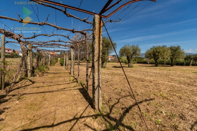 Quinta T6 para Venda em Correlhã Foto 42