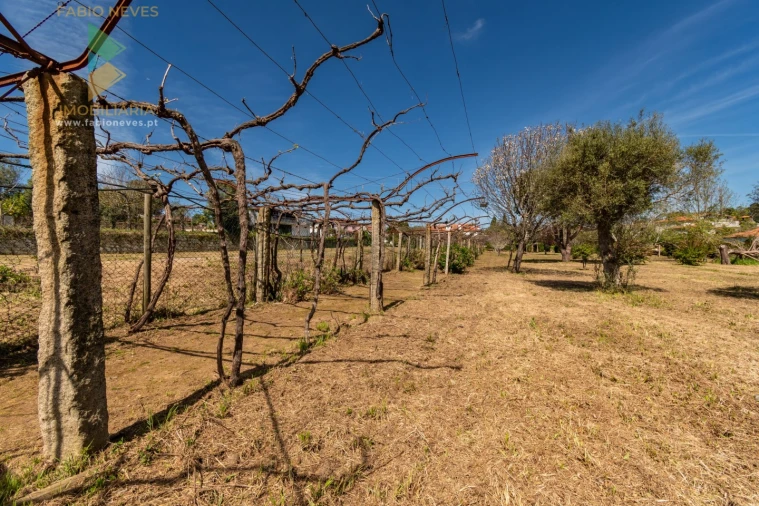 Quinta T6 para Venda em Correlhã Foto 44