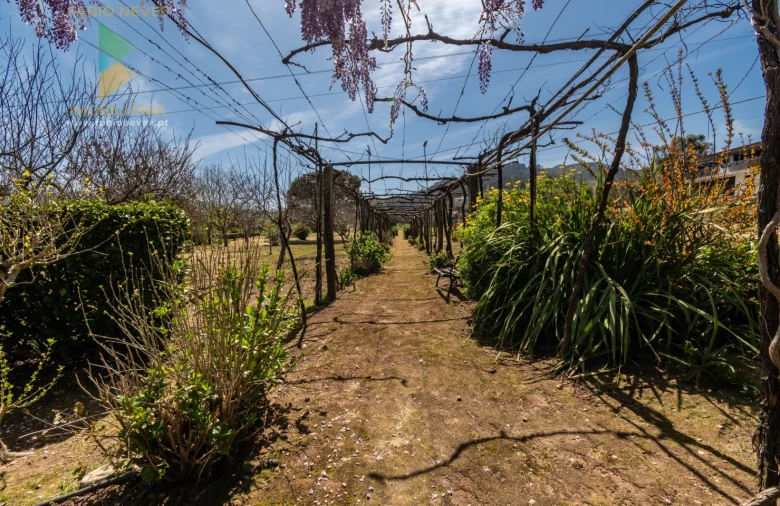 Quinta T6 para Venda em Correlhã Foto 45