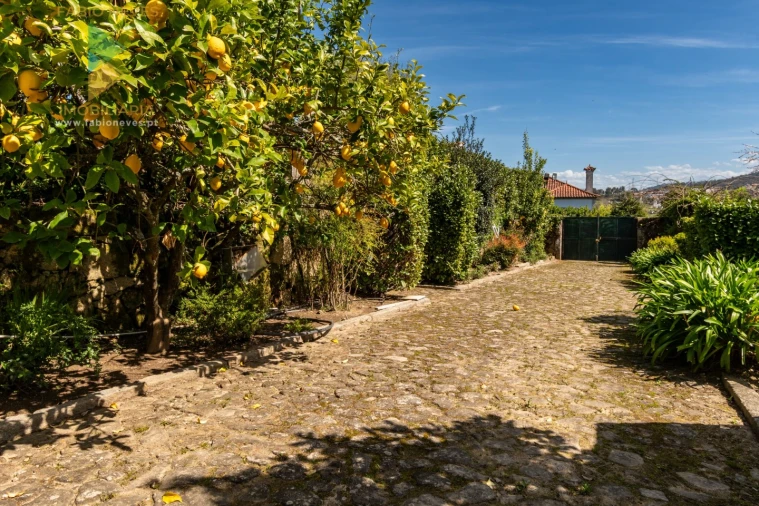 Quinta T6 para Venda em Correlhã Foto 46