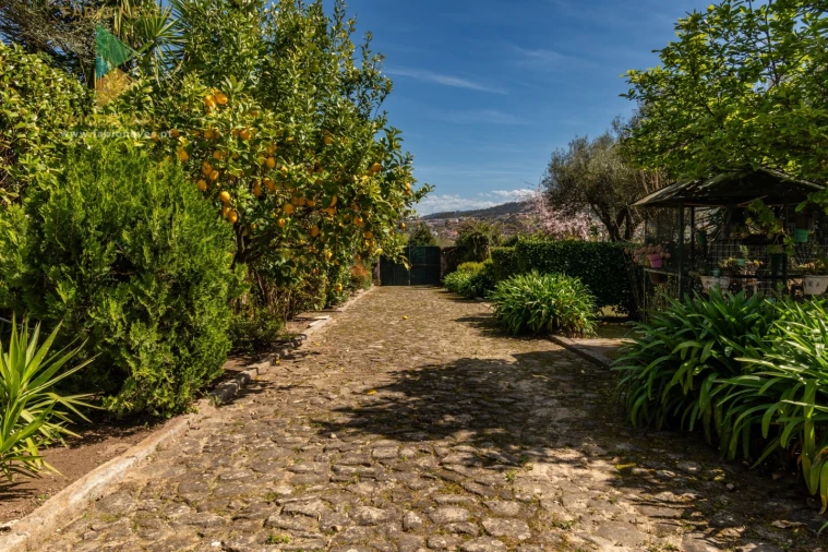 Quinta T6 para Venda em Correlhã Foto 47