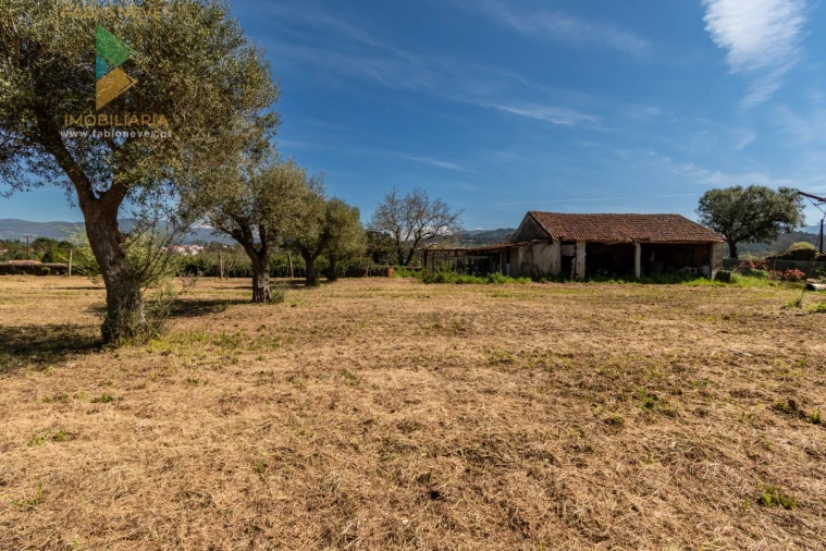 Quinta T6 para Venda em Correlhã Foto 48