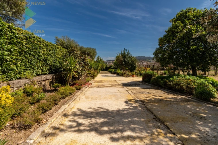 Quinta T6 para Venda em Correlhã Foto 49