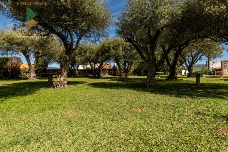 Quinta T6 para Venda em Correlhã Foto 54