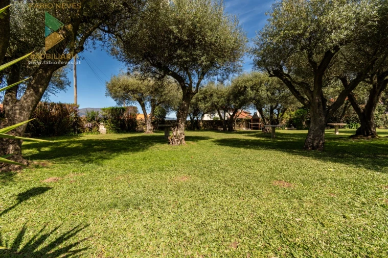 Quinta T6 para Venda em Correlhã Foto 56