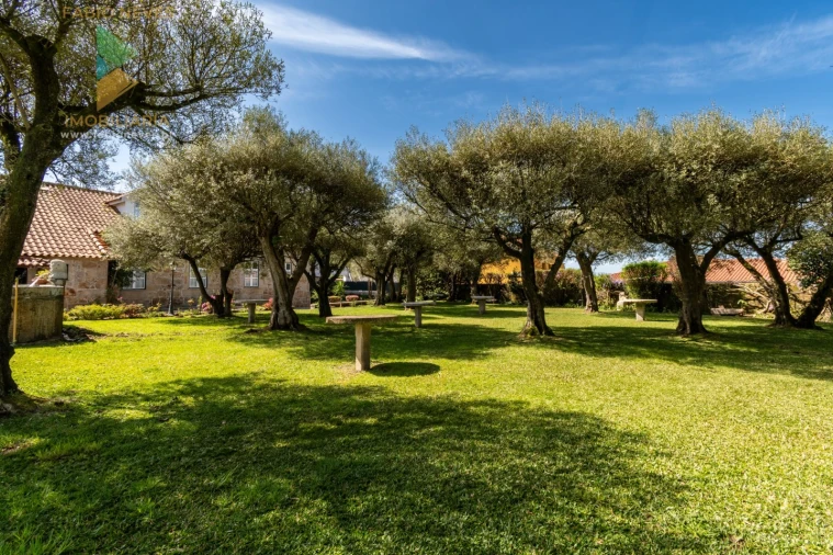 Quinta T6 para Venda em Correlhã Foto 64