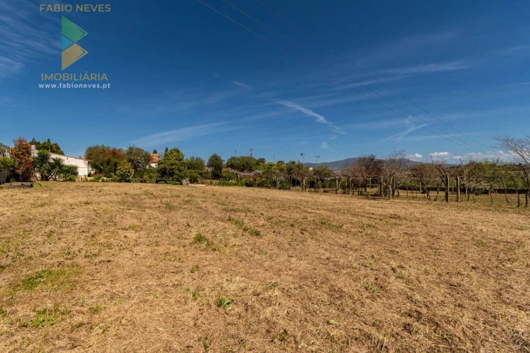 Quinta T6 para Venda em Correlhã Foto 77