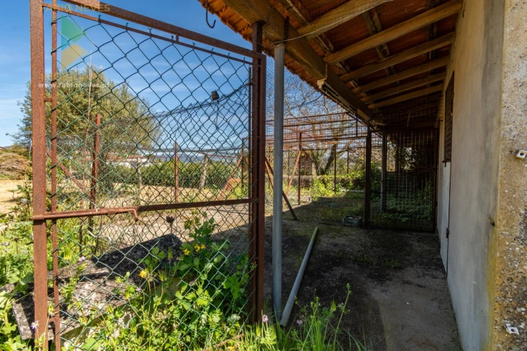 Quinta T6 para Venda em Correlhã Foto 80