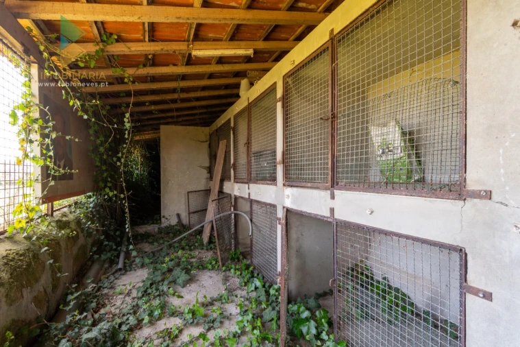 Quinta T6 para Venda em Correlhã Foto 82