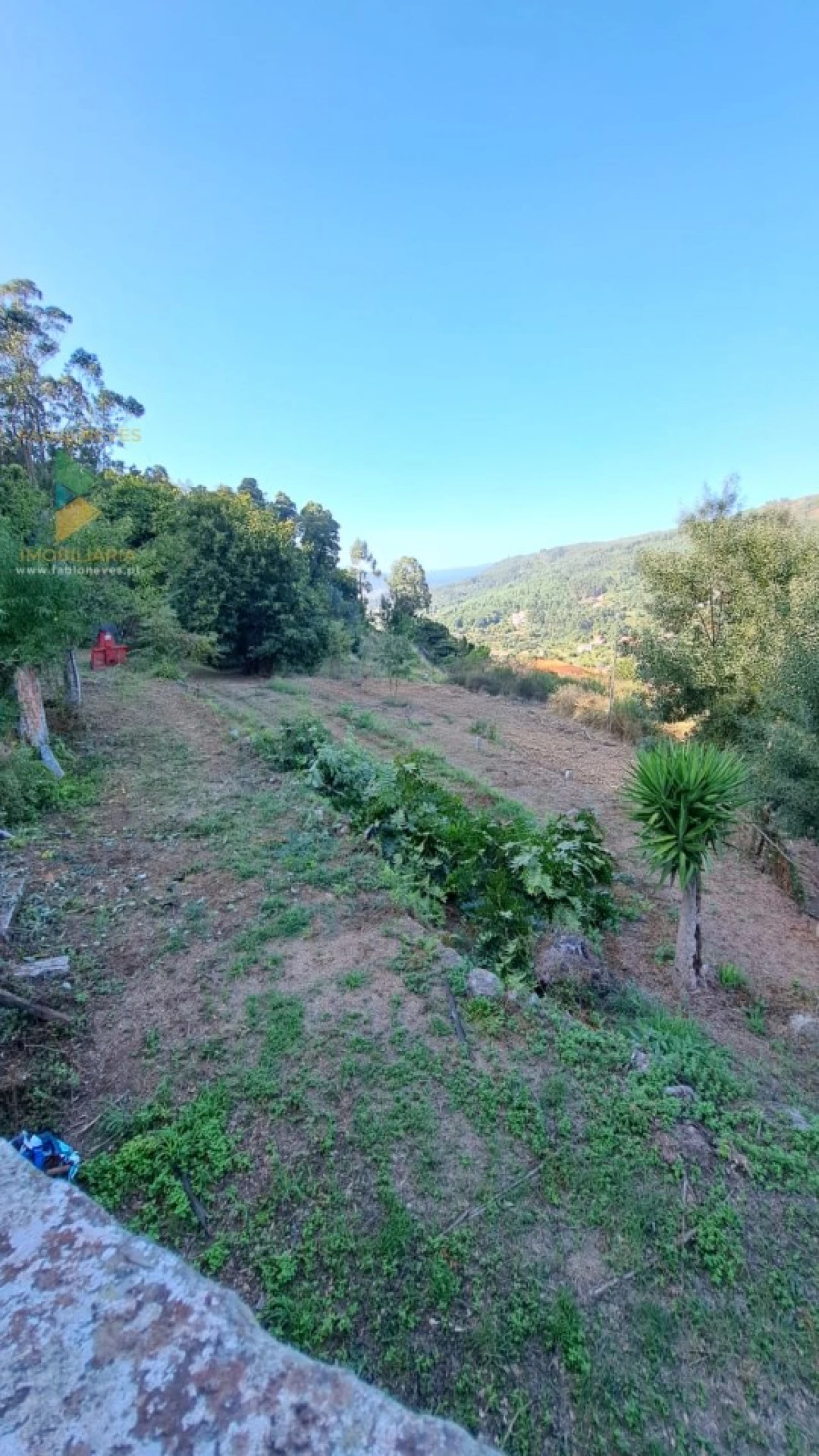 Moradia T2 para Venda em Geraz do Lima (Santa Maria, Santa Leocádia, Moreira), Deão Foto 8