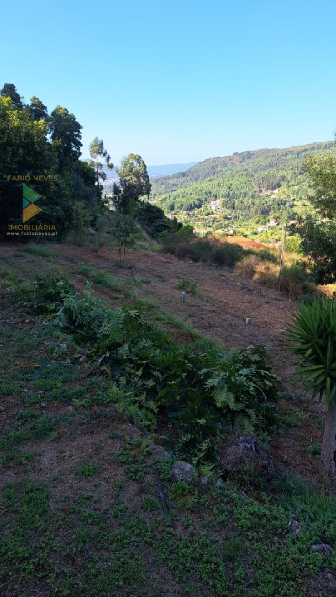 Moradia T2 para Venda em Geraz do Lima (Santa Maria, Santa Leocádia, Moreira), Deão Foto 9