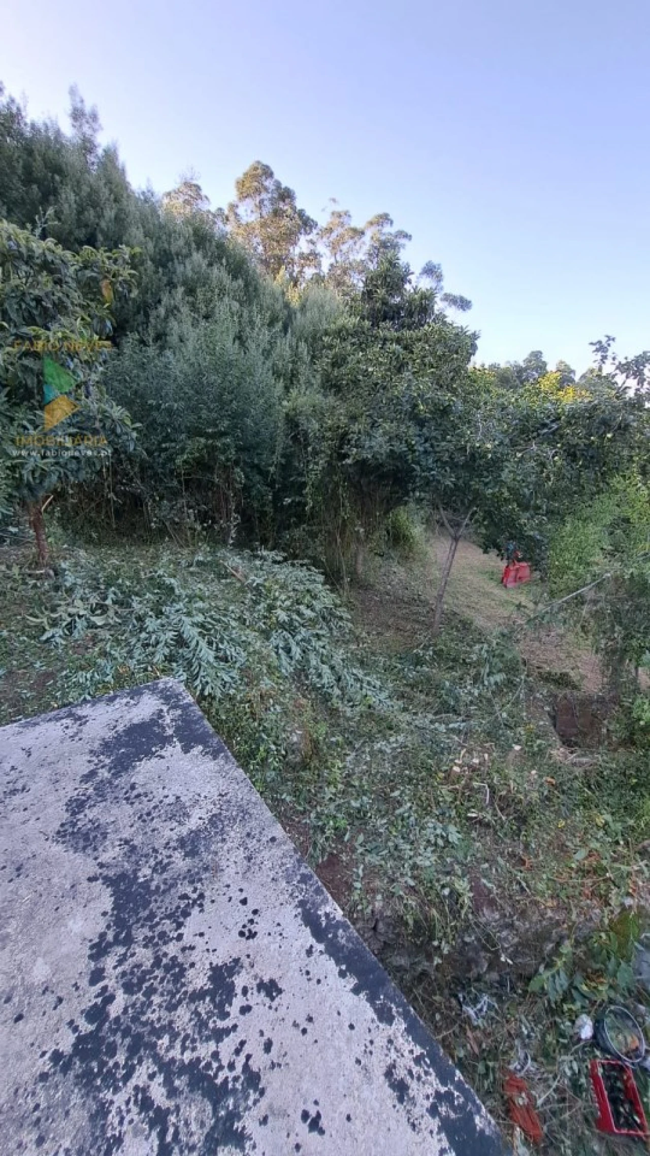 Moradia T2 para Venda em Geraz do Lima (Santa Maria, Santa Leocádia, Moreira), Deão Foto 11