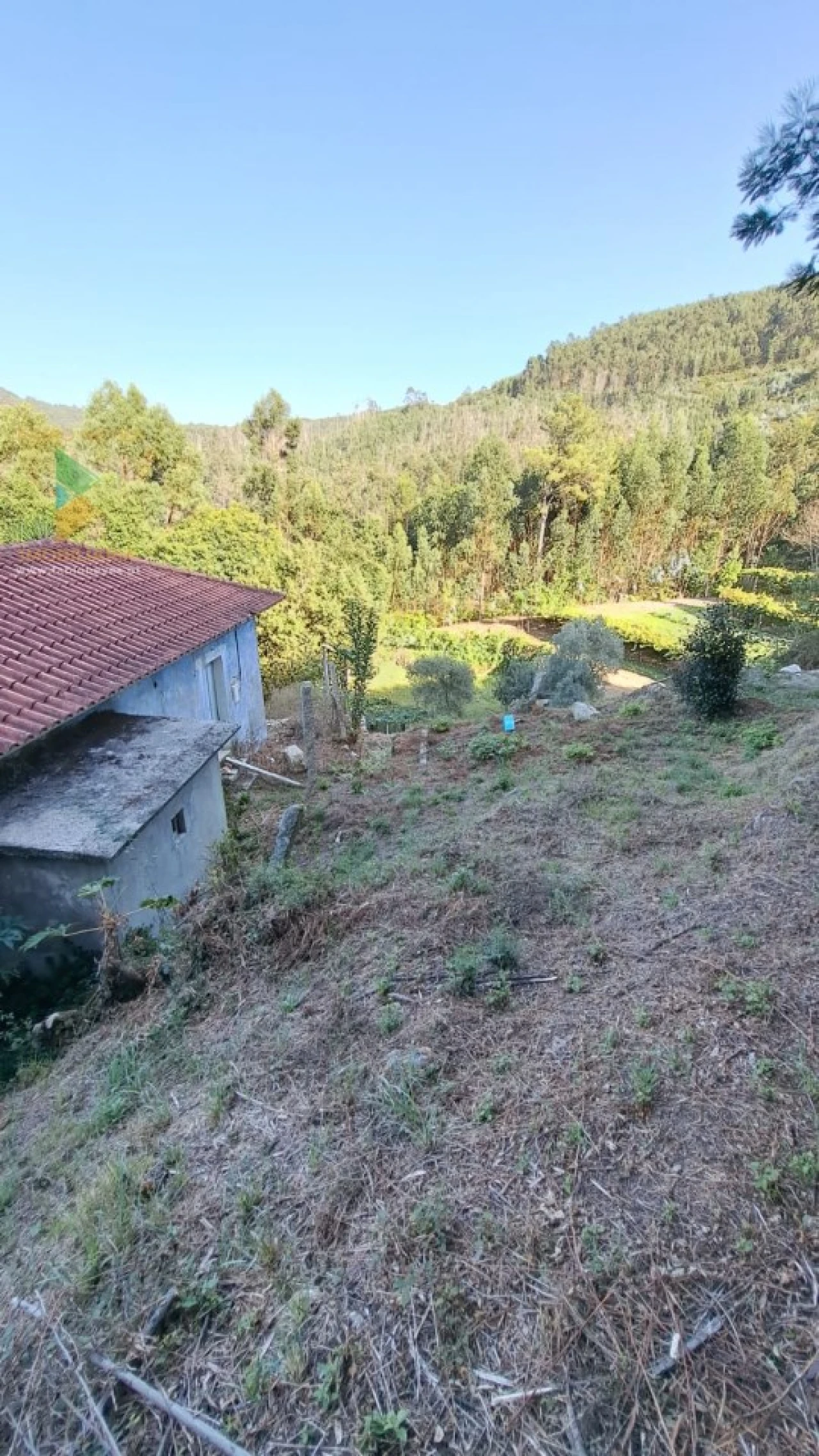 Moradia T2 para Venda em Geraz do Lima (Santa Maria, Santa Leocádia, Moreira), Deão Foto 16