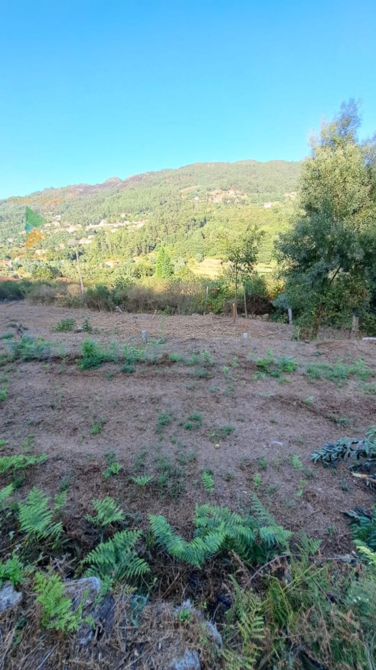 Moradia T2 para Venda em Geraz do Lima (Santa Maria, Santa Leocádia, Moreira), Deão Foto 23