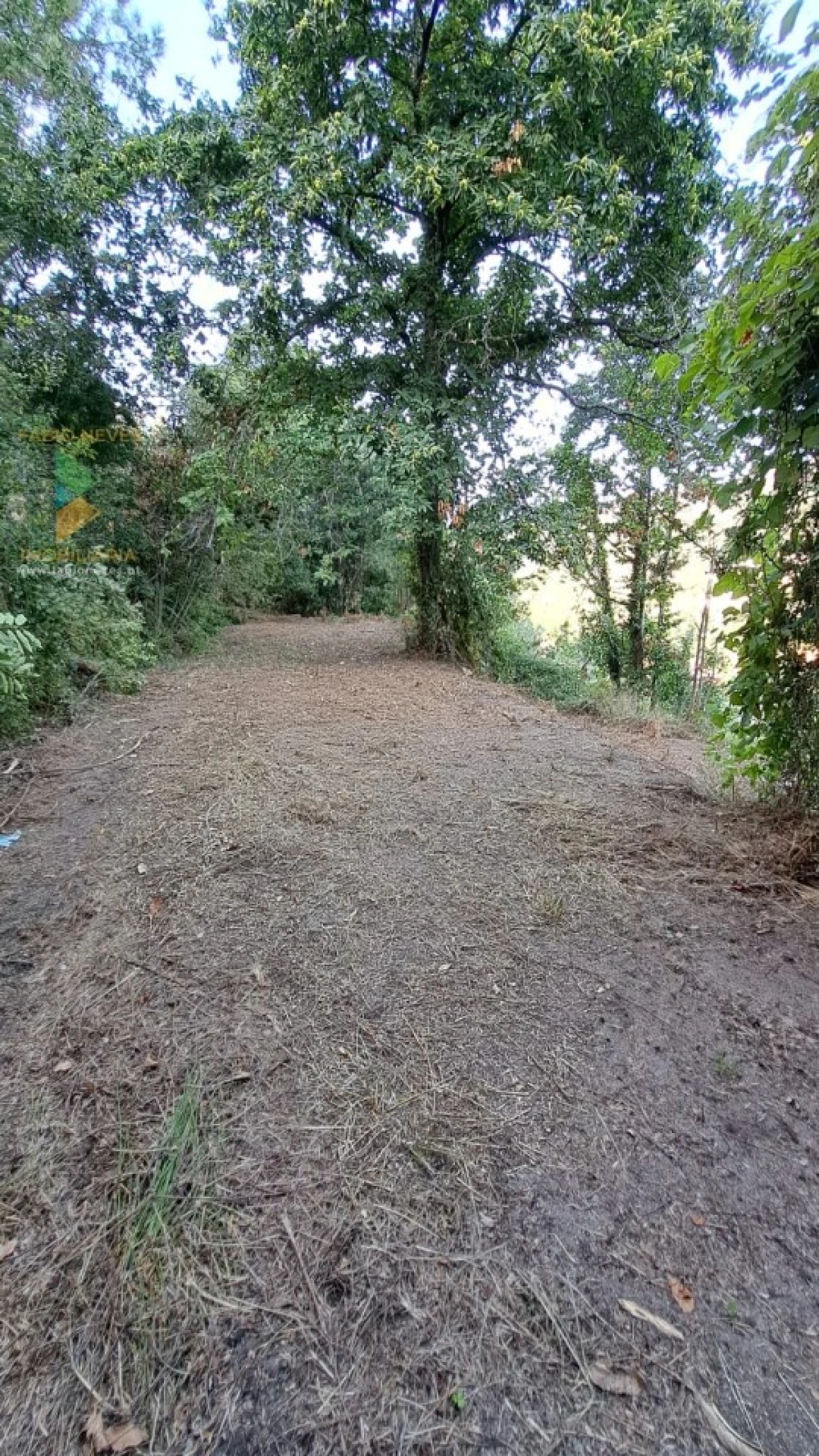 Moradia T2 para Venda em Geraz do Lima (Santa Maria, Santa Leocádia, Moreira), Deão Foto 25