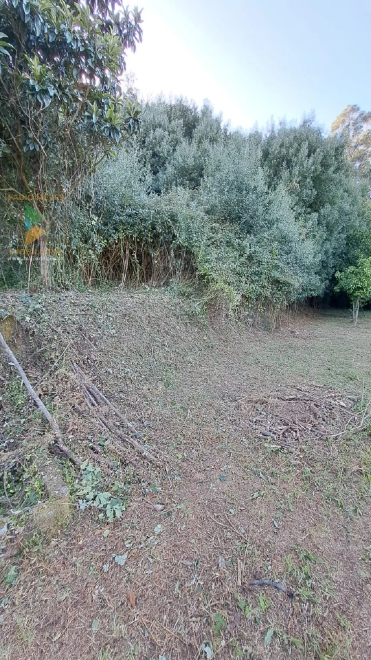 Moradia T2 para Venda em Geraz do Lima (Santa Maria, Santa Leocádia, Moreira), Deão Foto 27