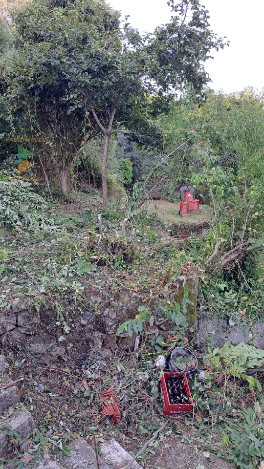 Moradia T2 para Venda em Geraz do Lima (Santa Maria, Santa Leocádia, Moreira), Deão Foto 6