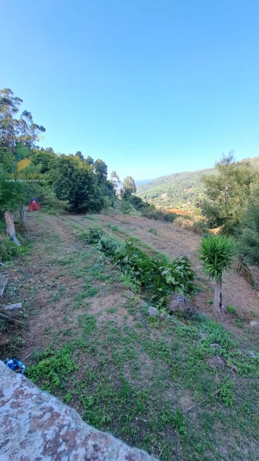 Moradia T2 para Venda em Geraz do Lima (Santa Maria, Santa Leocádia, Moreira), Deão Foto 8