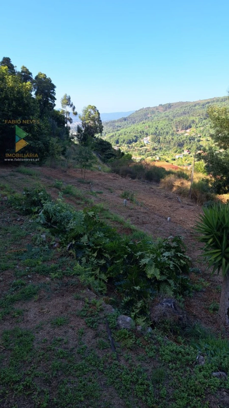 Moradia T2 para Venda em Geraz do Lima (Santa Maria, Santa Leocádia, Moreira), Deão Foto 9