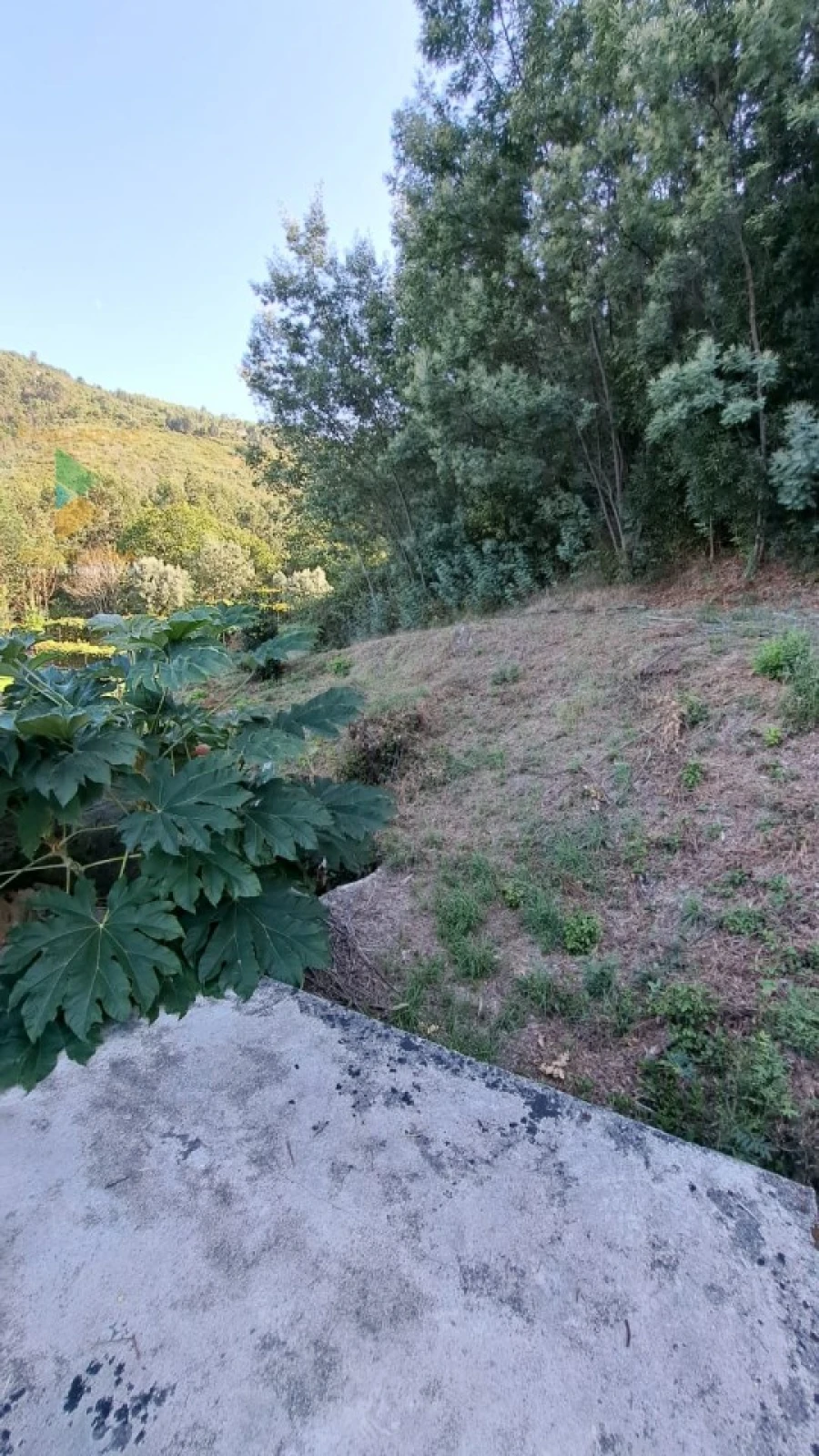 Moradia T2 para Venda em Geraz do Lima (Santa Maria, Santa Leocádia, Moreira), Deão Foto 13