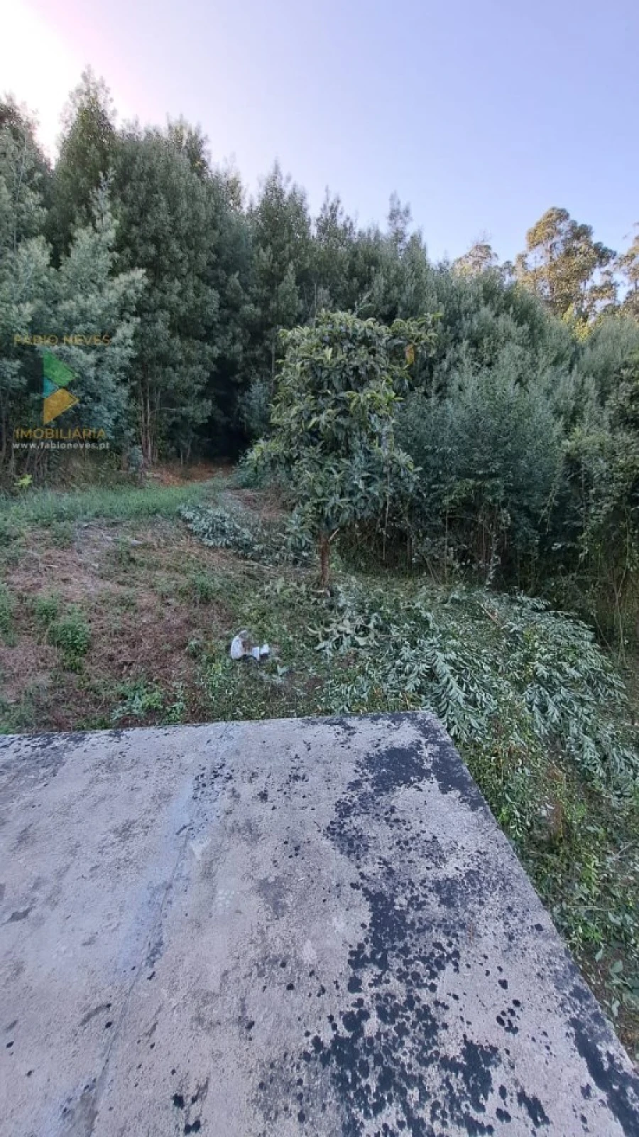 Moradia T2 para Venda em Geraz do Lima (Santa Maria, Santa Leocádia, Moreira), Deão Foto 14