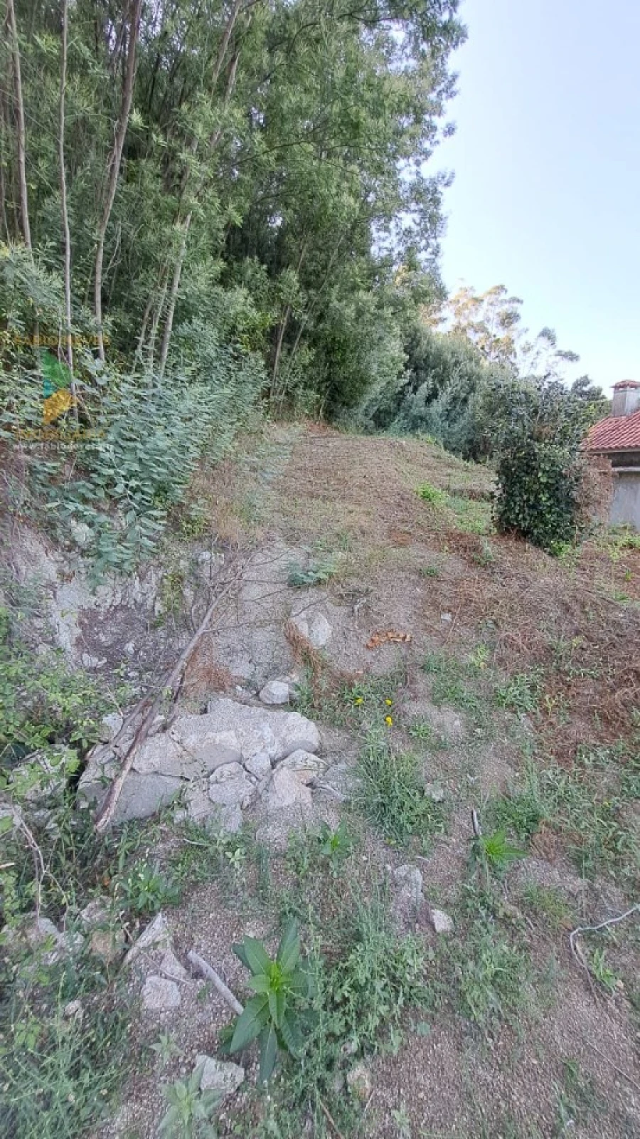 Moradia T2 para Venda em Geraz do Lima (Santa Maria, Santa Leocádia, Moreira), Deão Foto 15