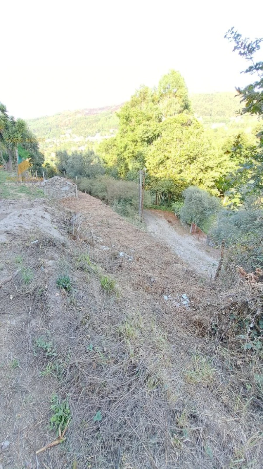 Moradia T2 para Venda em Geraz do Lima (Santa Maria, Santa Leocádia, Moreira), Deão Foto 18