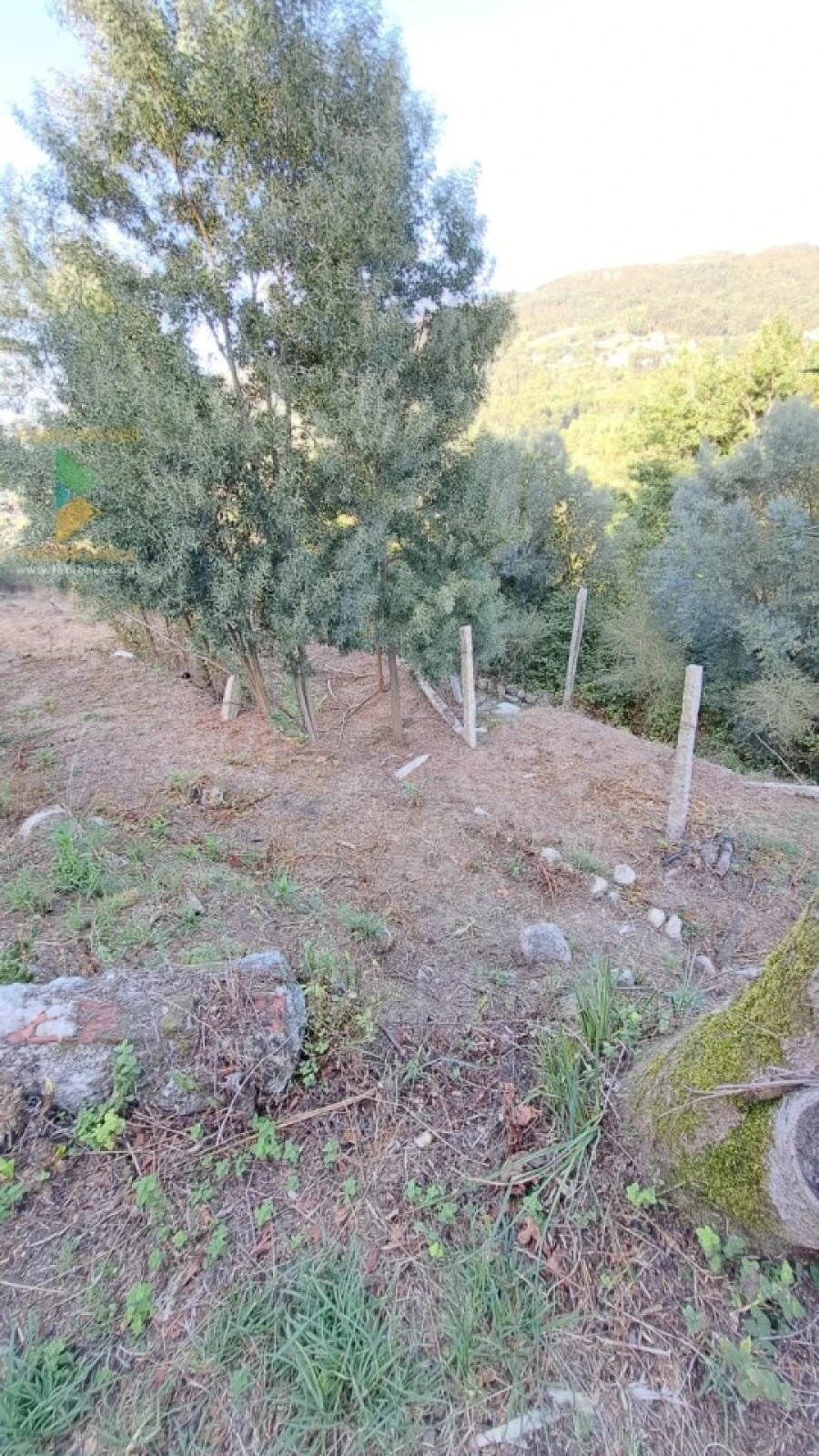 Moradia T2 para Venda em Geraz do Lima (Santa Maria, Santa Leocádia, Moreira), Deão Foto 20