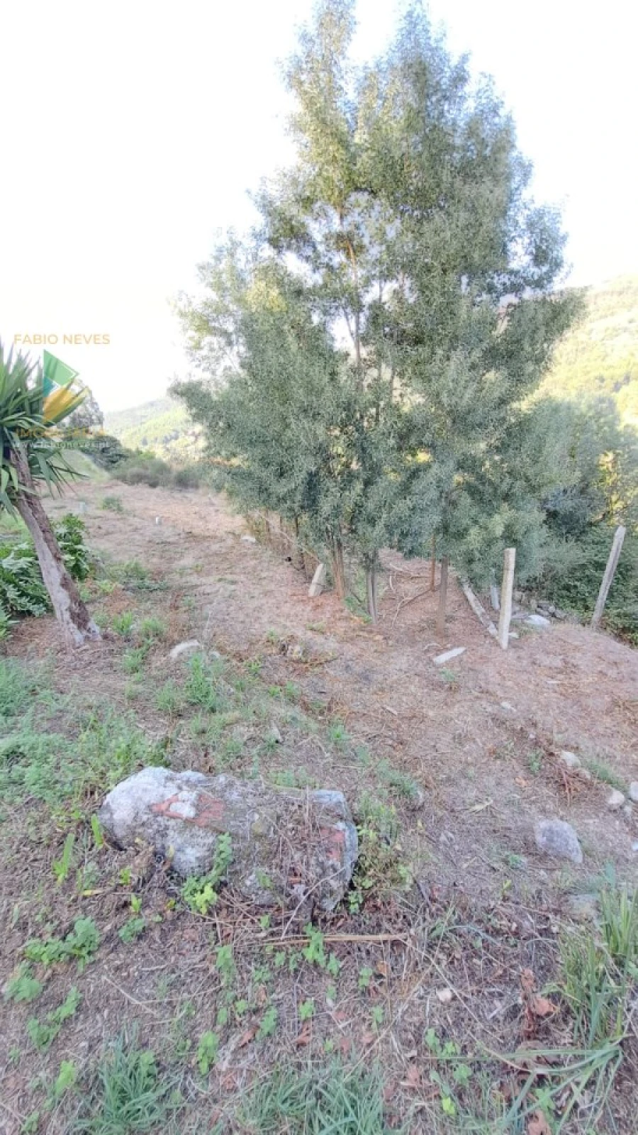 Moradia T2 para Venda em Geraz do Lima (Santa Maria, Santa Leocádia, Moreira), Deão Foto 22