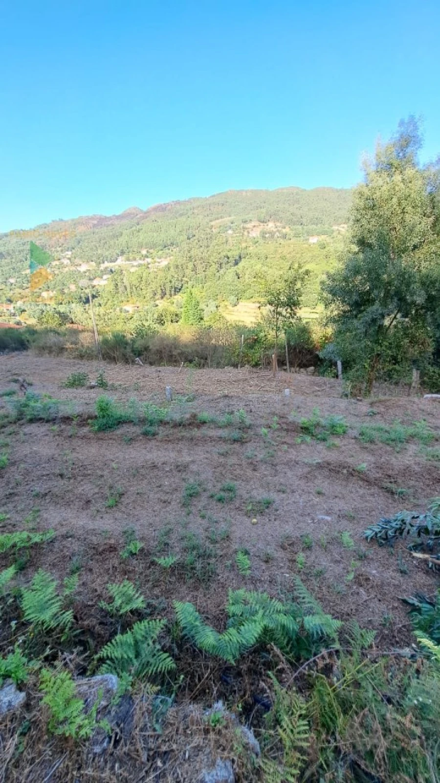 Moradia T2 para Venda em Geraz do Lima (Santa Maria, Santa Leocádia, Moreira), Deão Foto 23