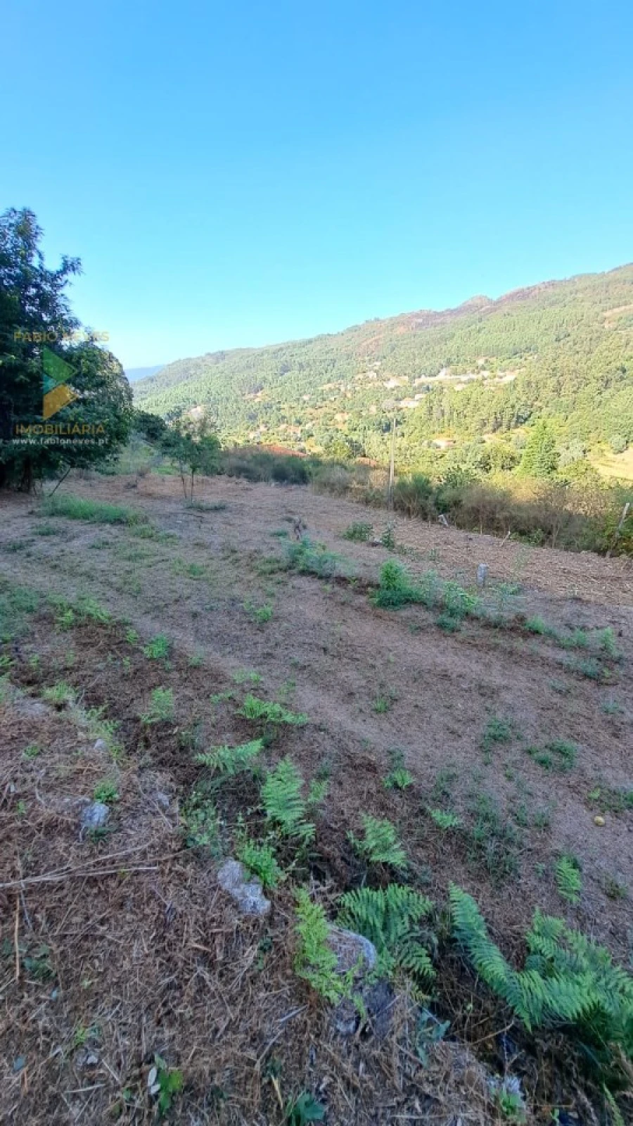 Moradia T2 para Venda em Geraz do Lima (Santa Maria, Santa Leocádia, Moreira), Deão Foto 24