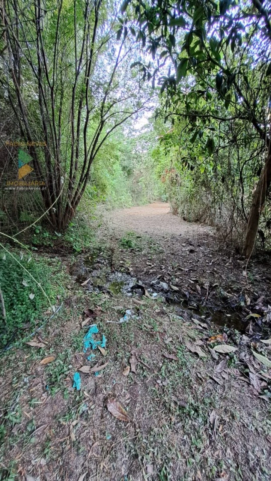 Moradia T2 para Venda em Geraz do Lima (Santa Maria, Santa Leocádia, Moreira), Deão Foto 26