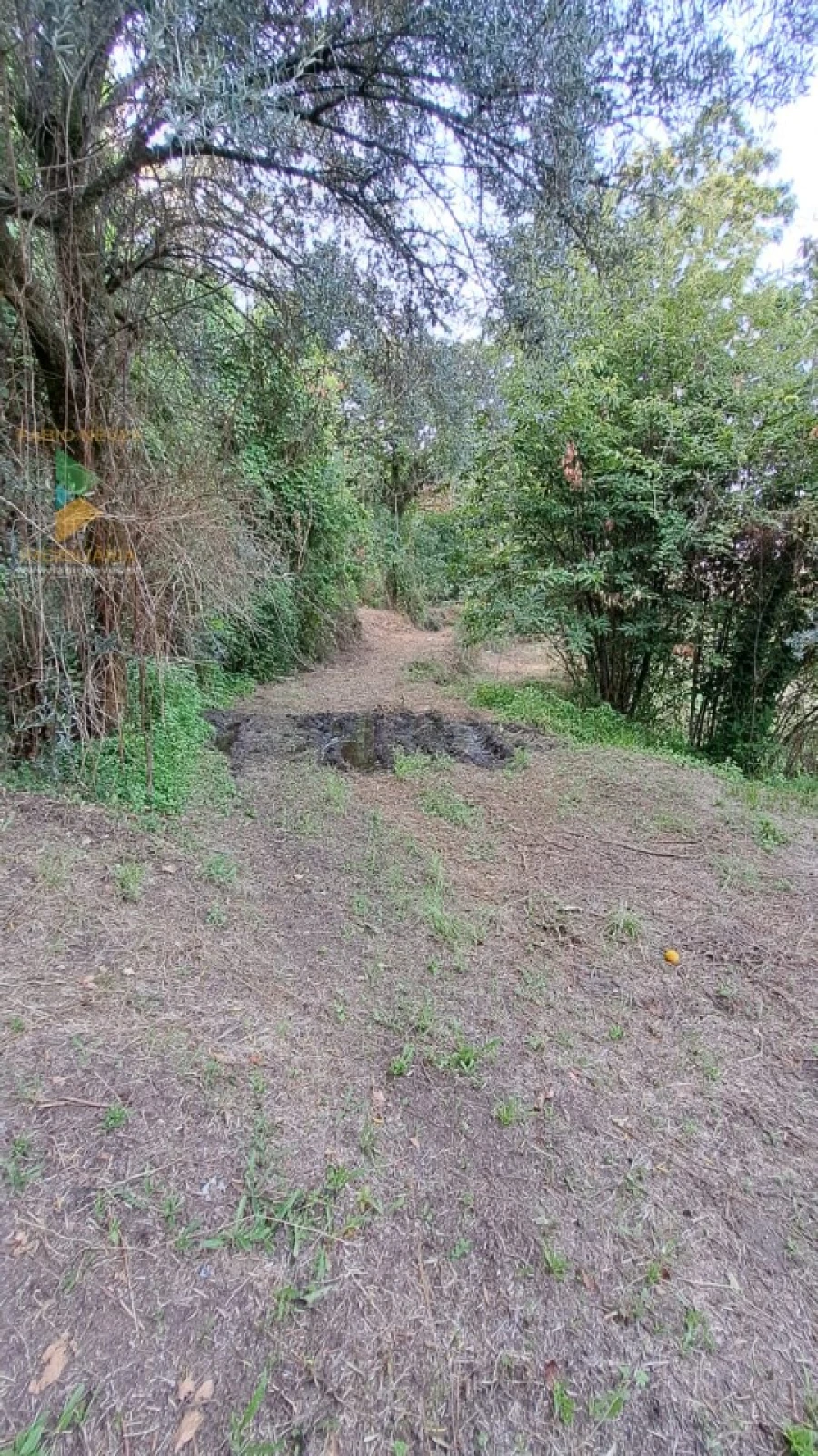 Moradia T2 para Venda em Geraz do Lima (Santa Maria, Santa Leocádia, Moreira), Deão Foto 29