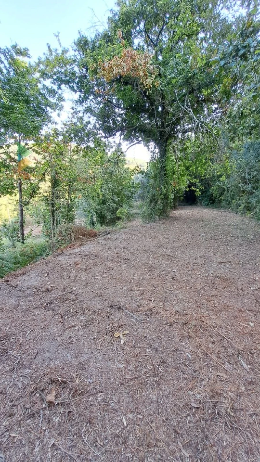 Moradia T2 para Venda em Geraz do Lima (Santa Maria, Santa Leocádia, Moreira), Deão Foto 30