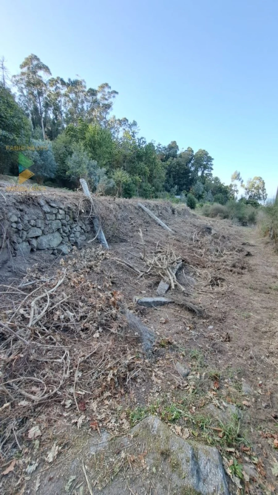 Moradia T2 para Venda em Geraz do Lima (Santa Maria, Santa Leocádia, Moreira), Deão Foto 31