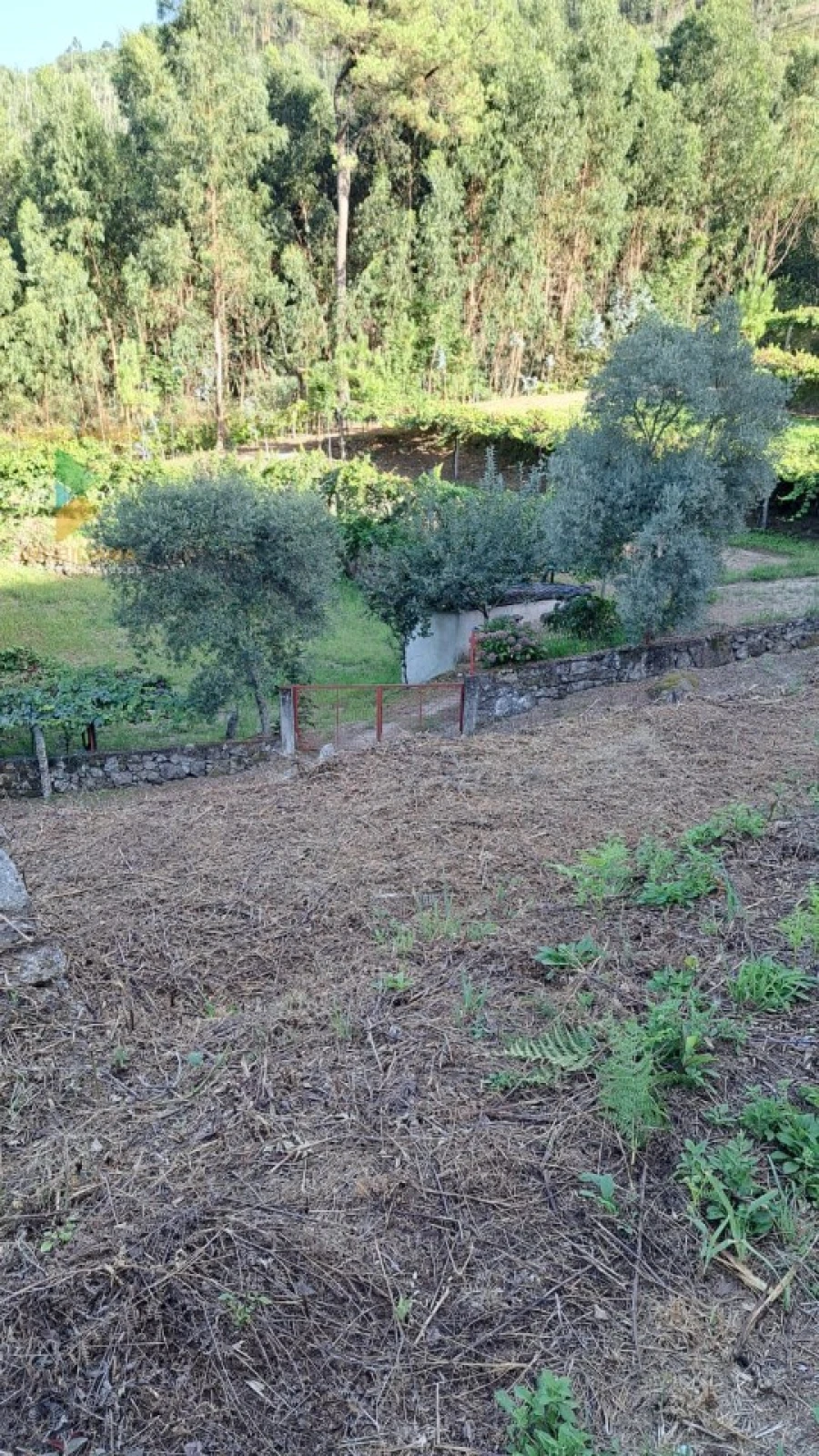 Moradia T2 para Venda em Geraz do Lima (Santa Maria, Santa Leocádia, Moreira), Deão Foto 35