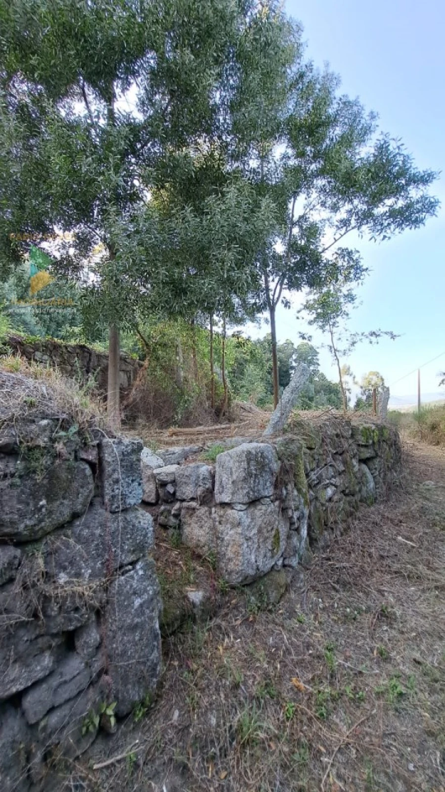 Moradia T2 para Venda em Geraz do Lima (Santa Maria, Santa Leocádia, Moreira), Deão Foto 37