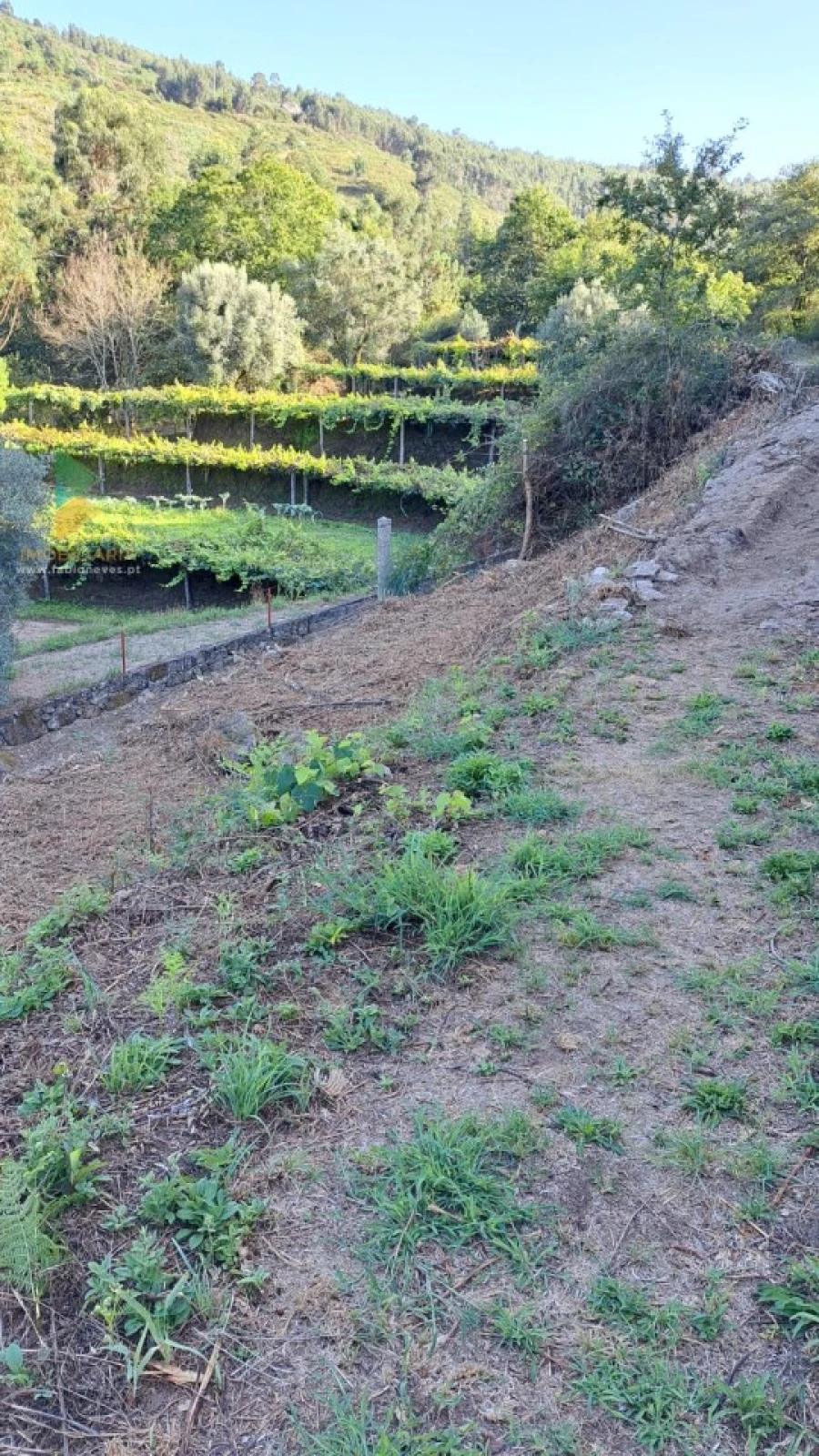 Moradia T2 para Venda em Geraz do Lima (Santa Maria, Santa Leocádia, Moreira), Deão Foto 38