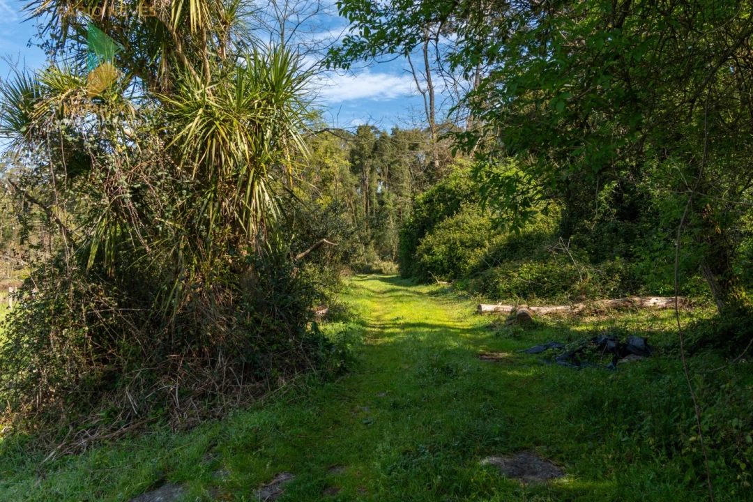 Quinta T8 para Venda em Subportela, Deocriste e Portela Susã Foto 39
