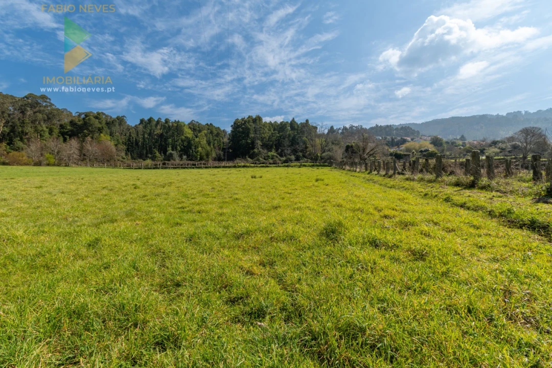 Quinta T8 para Venda em Subportela, Deocriste e Portela Susã Foto 45