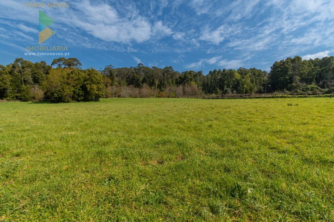Quinta T8 para Venda em Subportela, Deocriste e Portela Susã Foto 46