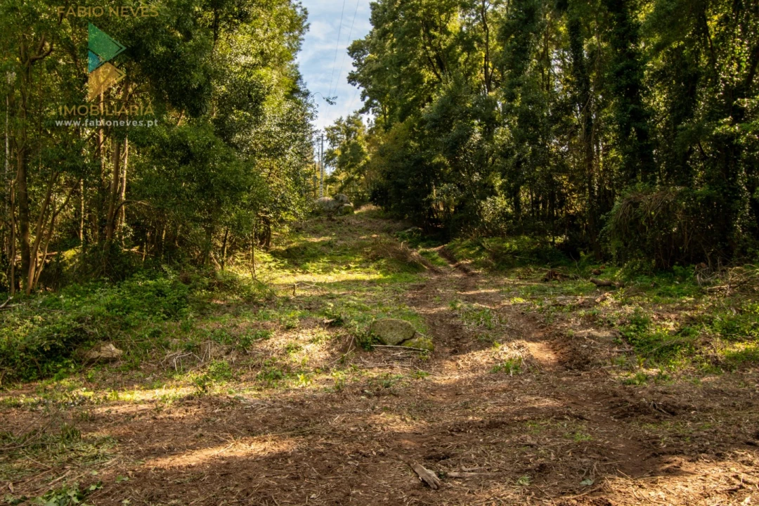 Quinta T8 para Venda em Subportela, Deocriste e Portela Susã Foto 49