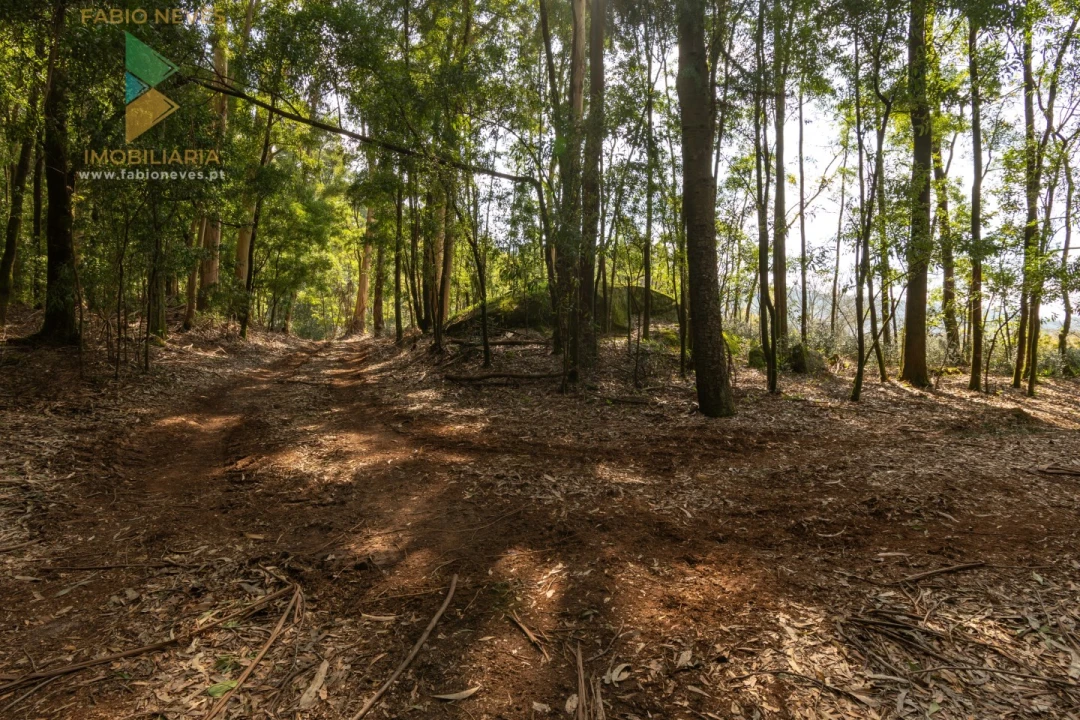 Quinta T8 para Venda em Subportela, Deocriste e Portela Susã Foto 50