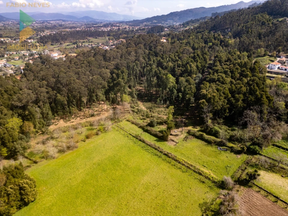 Quinta T8 para Venda em Subportela, Deocriste e Portela Susã Foto 54